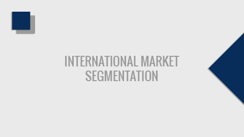 PCF307 - International Market Segmentation